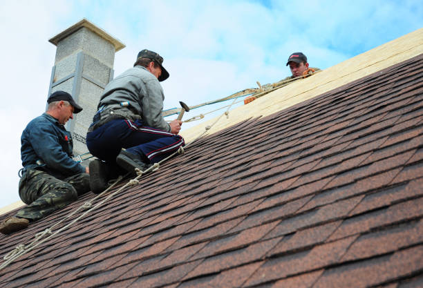 Quick and Trustworthy Emergency Roof Repair Services in Pecatonica, IL