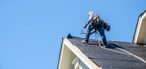 Professional Roofing Contractor in Pecatonica, IL